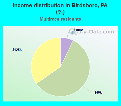 Income distribution in Birdsboro, PA (%)