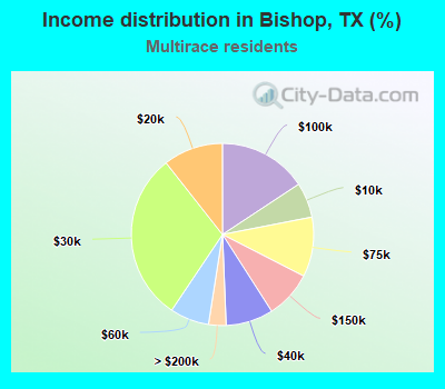 Income distribution in Bishop, TX (%)