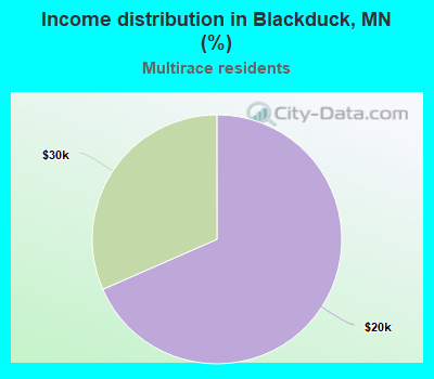 Income distribution in Blackduck, MN (%)