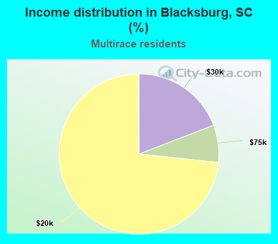 Income distribution in Blacksburg, SC (%)