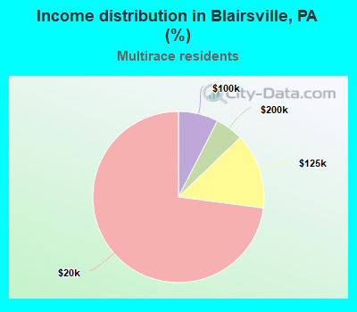 Income distribution in Blairsville, PA (%)