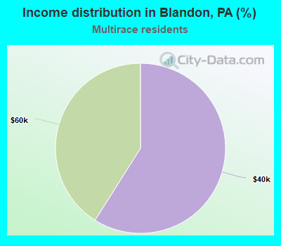 Income distribution in Blandon, PA (%)