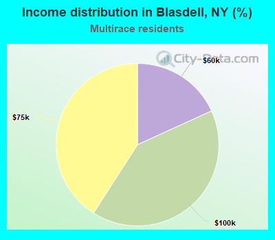 Income distribution in Blasdell, NY (%)