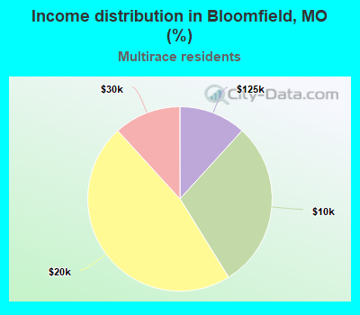 Income distribution in Bloomfield, MO (%)