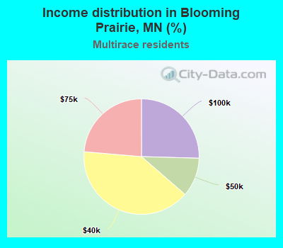 Income distribution in Blooming Prairie, MN (%)