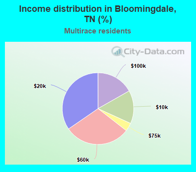 Income distribution in Bloomingdale, TN (%)