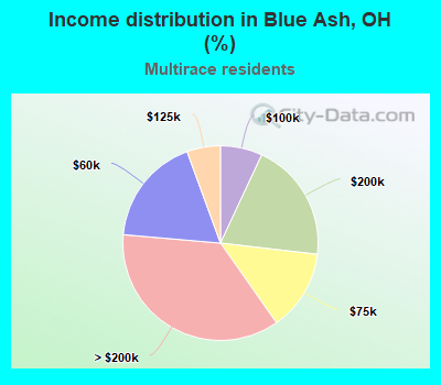 Income distribution in Blue Ash, OH (%)