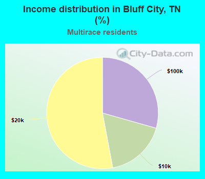 Income distribution in Bluff City, TN (%)