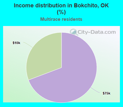 Income distribution in Bokchito, OK (%)