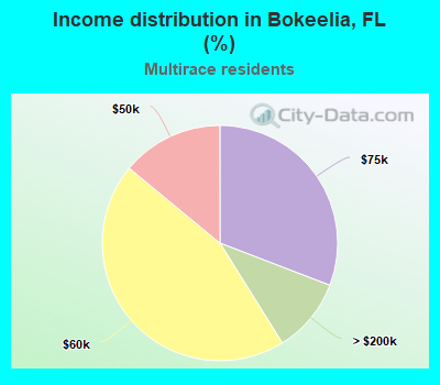 Income distribution in Bokeelia, FL (%)