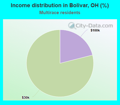 Income distribution in Bolivar, OH (%)