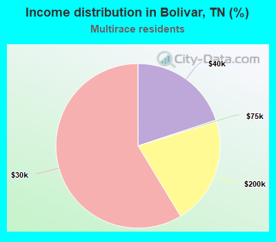 Income distribution in Bolivar, TN (%)