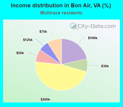 Income distribution in Bon Air, VA (%)