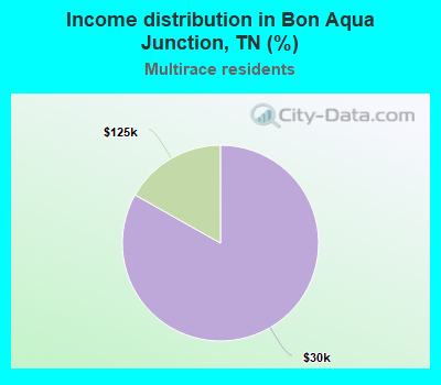 Income distribution in Bon Aqua Junction, TN (%)