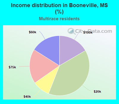 Income distribution in Booneville, MS (%)