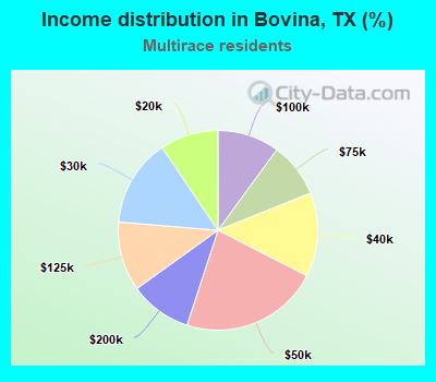 Income distribution in Bovina, TX (%)