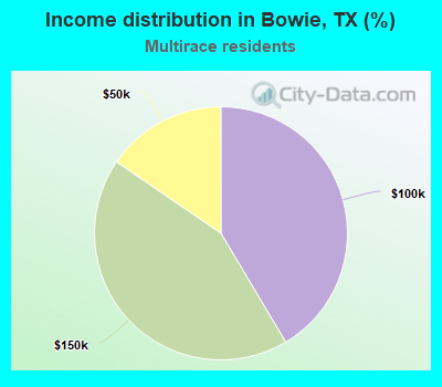 Income distribution in Bowie, TX (%)