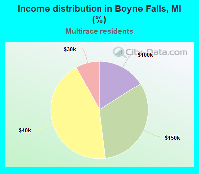 Income distribution in Boyne Falls, MI (%)