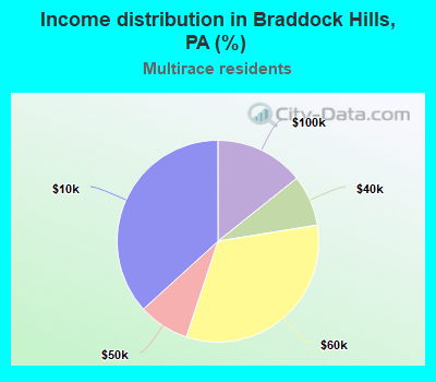 Income distribution in Braddock Hills, PA (%)