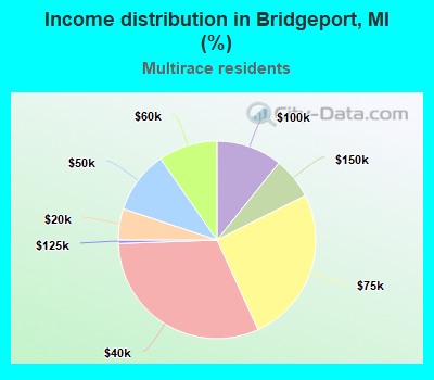 Income distribution in Bridgeport, MI (%)