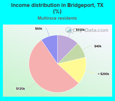 Income distribution in Bridgeport, TX (%)