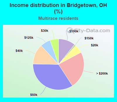 Income distribution in Bridgetown, OH (%)