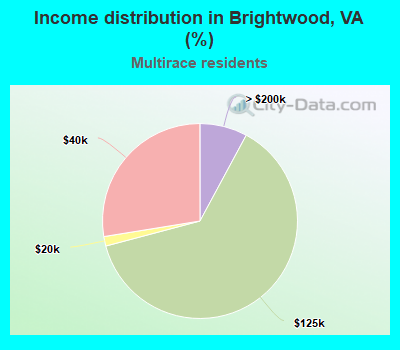 Income distribution in Brightwood, VA (%)