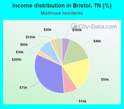 Income distribution in Bristol, TN (%)