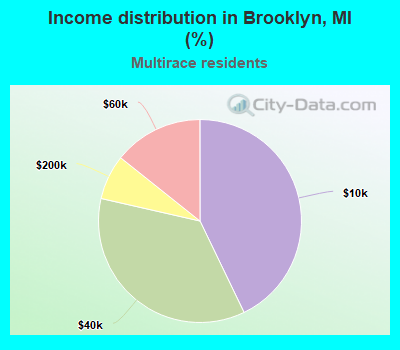 Income distribution in Brooklyn, MI (%)