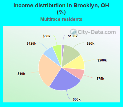 Income distribution in Brooklyn, OH (%)