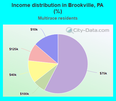 Income distribution in Brookville, PA (%)