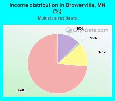 Income distribution in Browerville, MN (%)