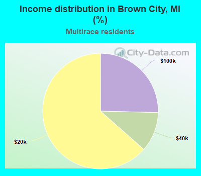 Income distribution in Brown City, MI (%)