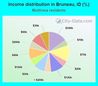 Income distribution in Bruneau, ID (%)