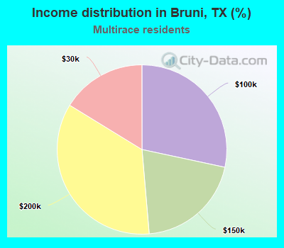 Income distribution in Bruni, TX (%)