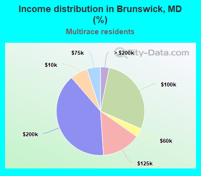Income distribution in Brunswick, MD (%)