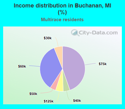Income distribution in Buchanan, MI (%)