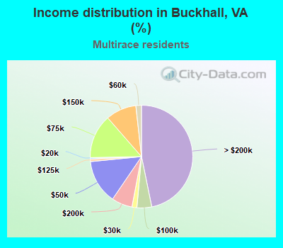 Income distribution in Buckhall, VA (%)