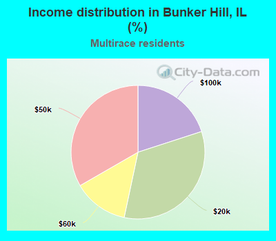 Income distribution in Bunker Hill, IL (%)
