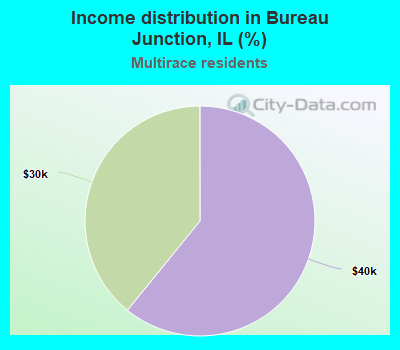Income distribution in Bureau Junction, IL (%)