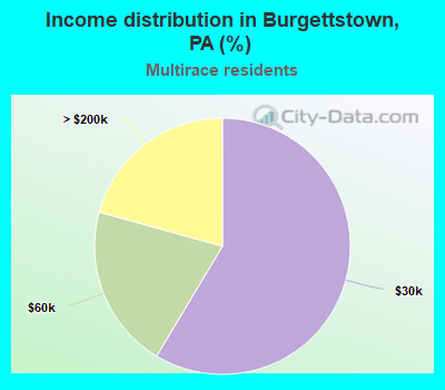 Income distribution in Burgettstown, PA (%)