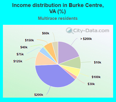 Income distribution in Burke Centre, VA (%)