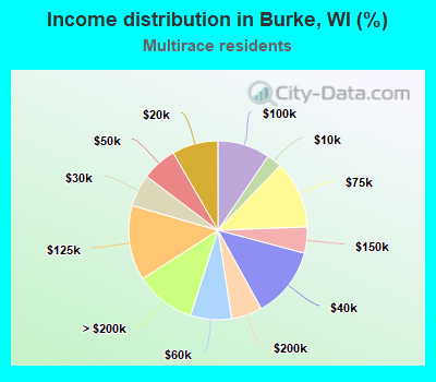 Income distribution in Burke, WI (%)