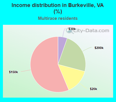 Income distribution in Burkeville, VA (%)