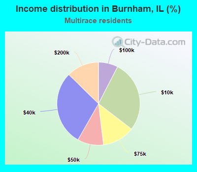 Income distribution in Burnham, IL (%)