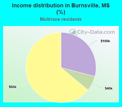 Income distribution in Burnsville, MS (%)