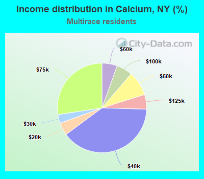 Income distribution in Calcium, NY (%)