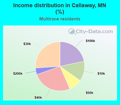 Income distribution in Callaway, MN (%)