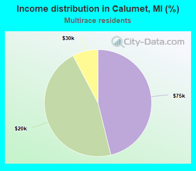 Income distribution in Calumet, MI (%)