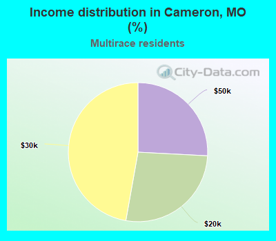Income distribution in Cameron, MO (%)